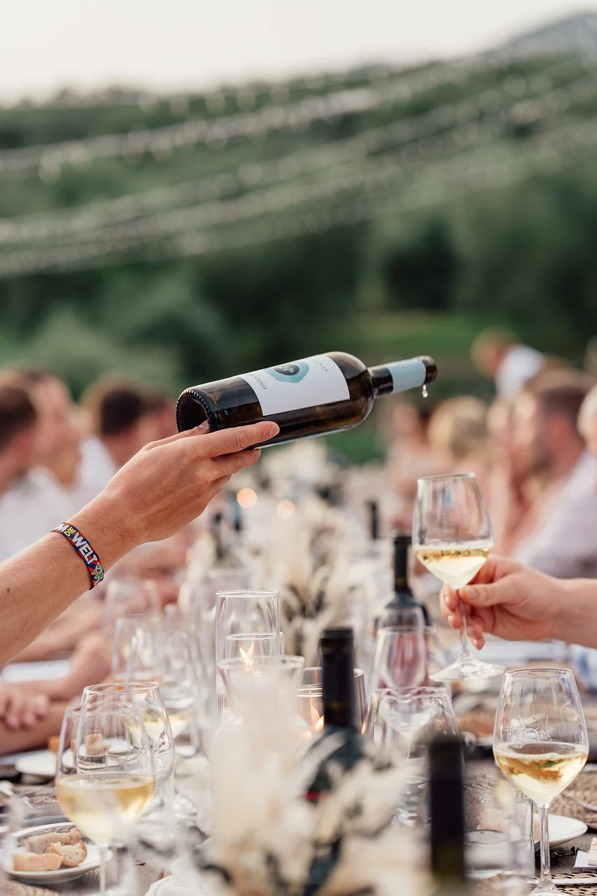 DivineVines Vineyard